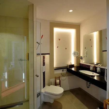 Dampfschiffhotel * Stadt Wehlen